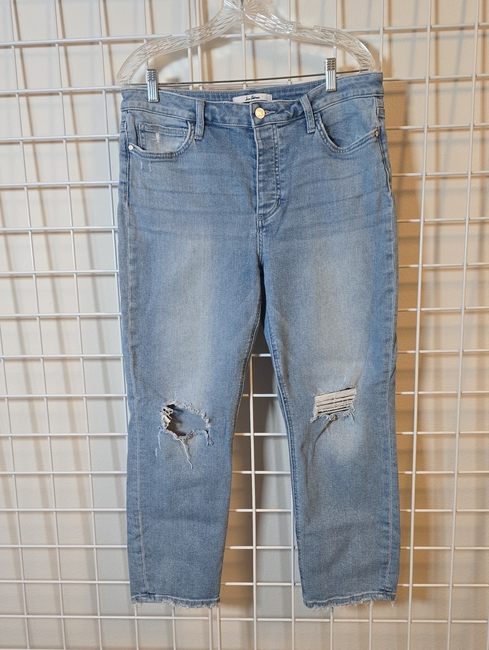 Sam Edelman Light Blue Mary Jane Boyfriend Distressed Ankle Jeans Size 31
